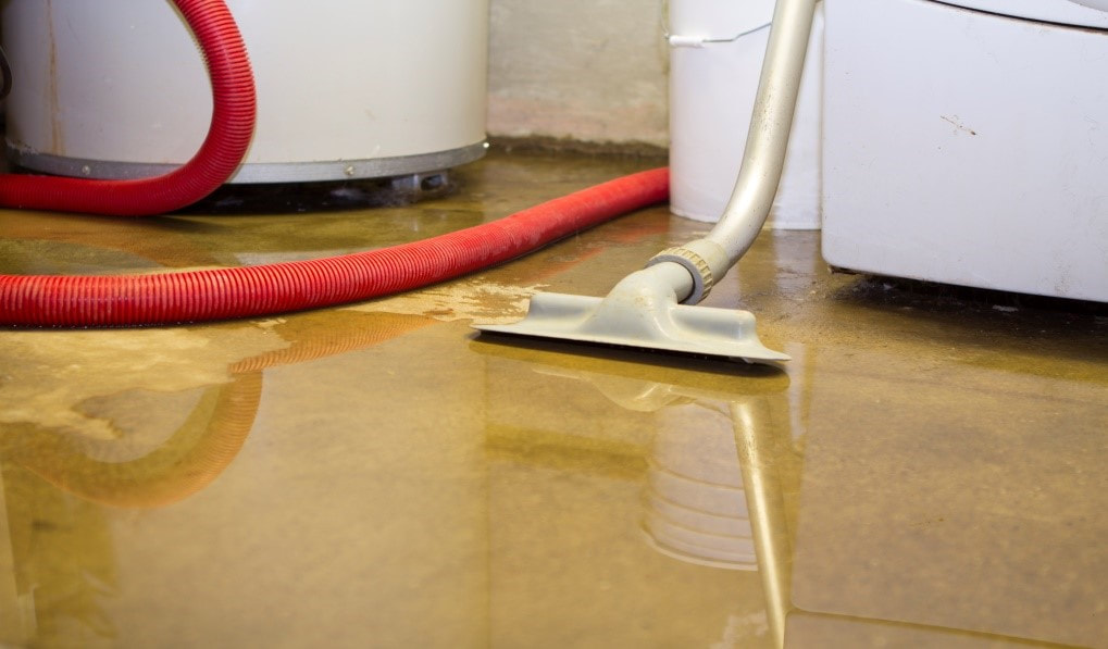 Here are some reasons why you should consider waterproofing your basement.